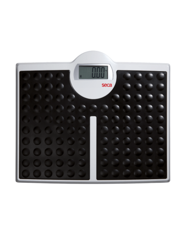 SECA Robusta 813 personal scale